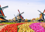 Априлска ваканция в Холандия | Оферти за Холандия - Пролетна ваканция